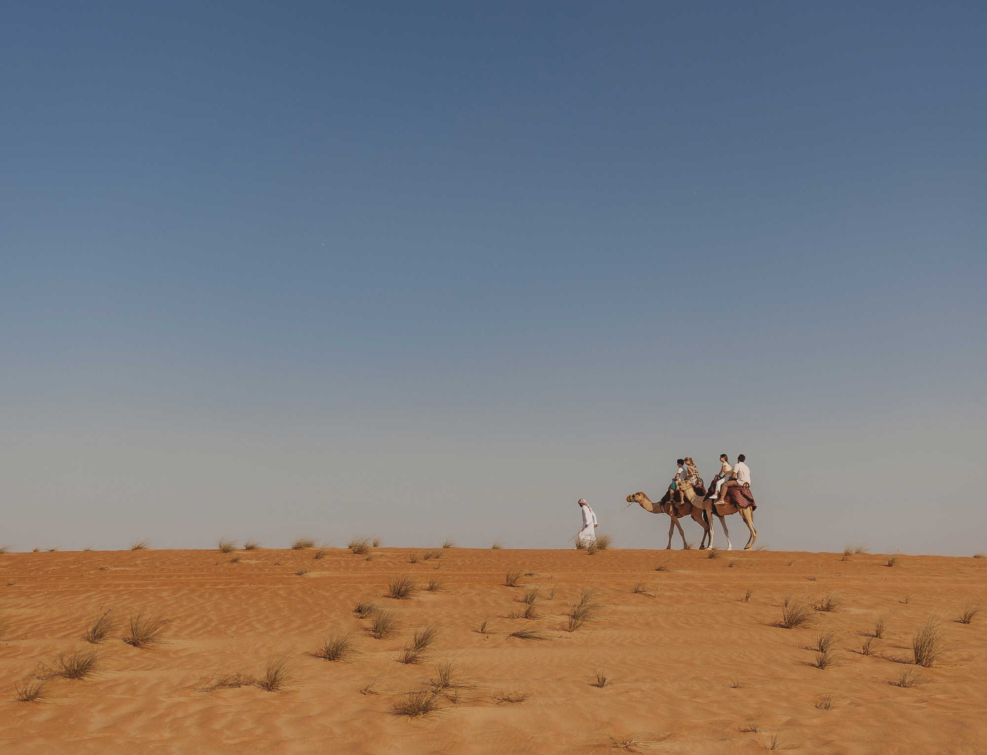 Experiences that inspire wonder