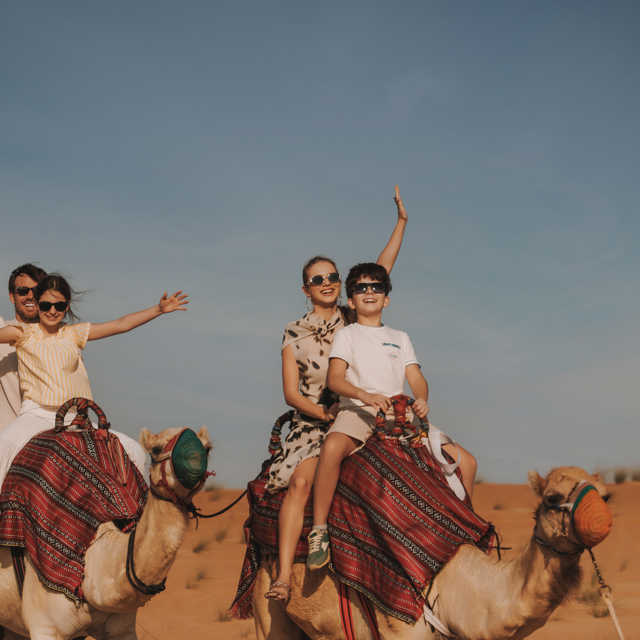 Camel Trecking